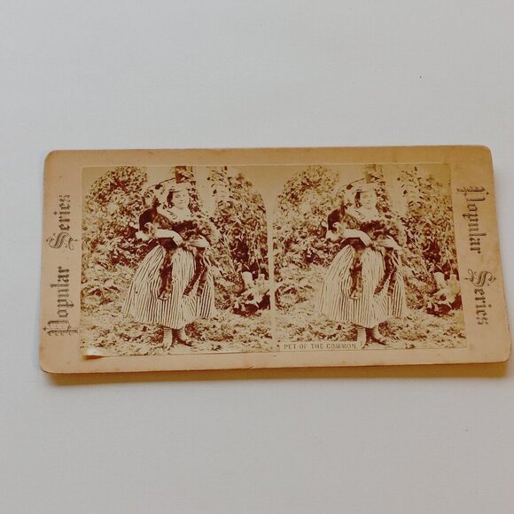 CUTE ANTIQUE STEREOGRAPH CARD Mary Had a Little Lamb Scene "Pet of the Common" - Picture 1 of 5